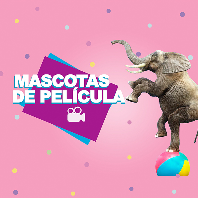 Mascotas de Película