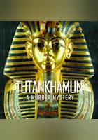 Tutankhamun: A Murder Mystery