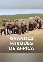 Grandes Parques de Africa