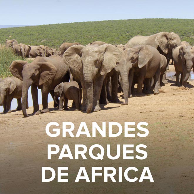 Grandes Parques de Africa