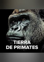 Tierra de Primates