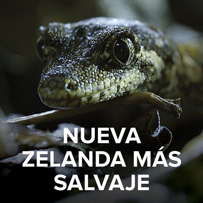 Nueva Zelanda más salvaje