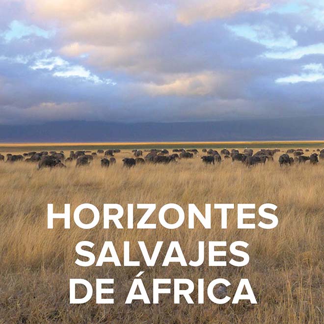 Horizontes Salvajes de África