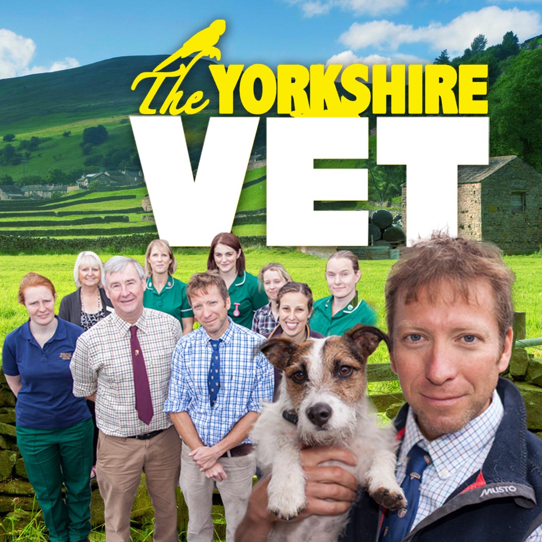 The Yorkshire Vet