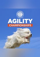 AKC Agility Championship