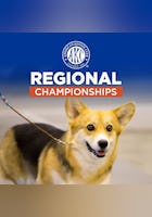 AKC Regional Championship