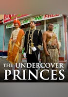 Undercover Princes