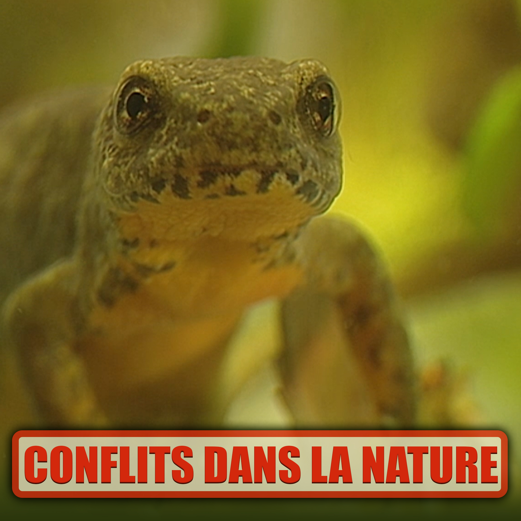 Conflits dans la nature