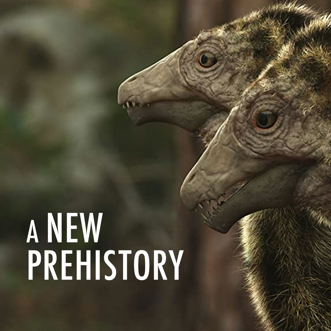 A New Prehistory