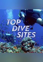 Top Dive Sites