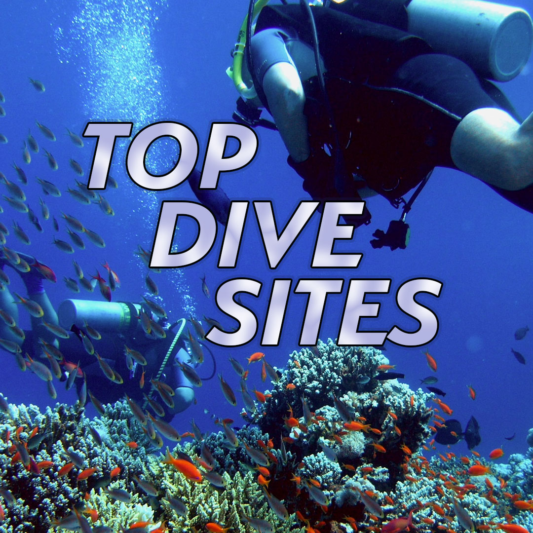 Top Dive Sites