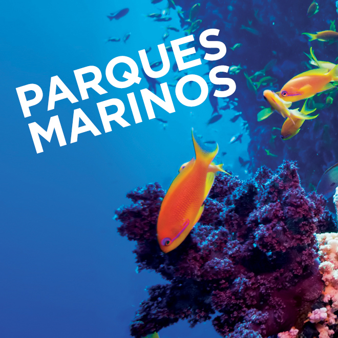 Parques Marinos