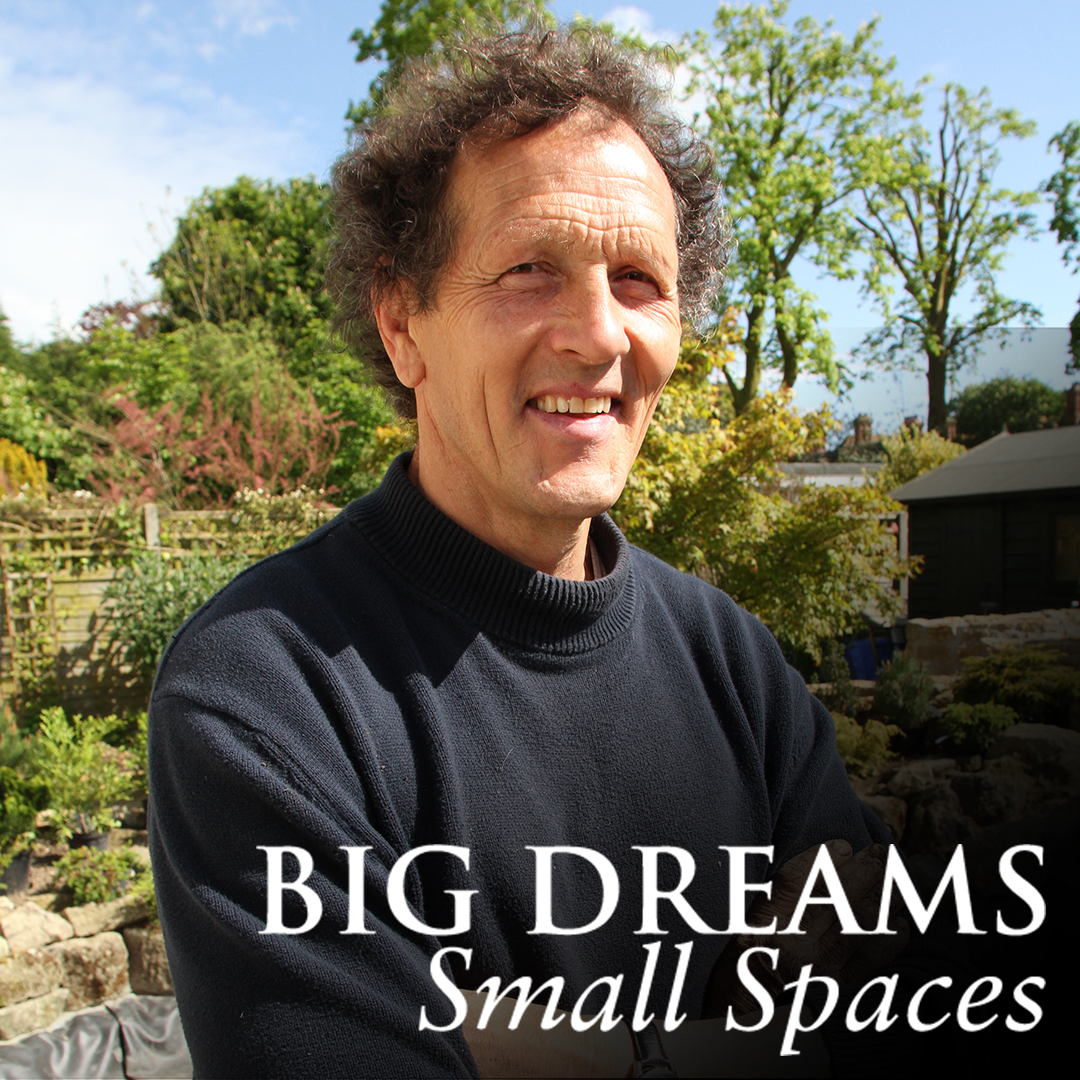 Big Dreams, Small Spaces