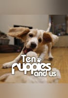 10 Puppies And Us