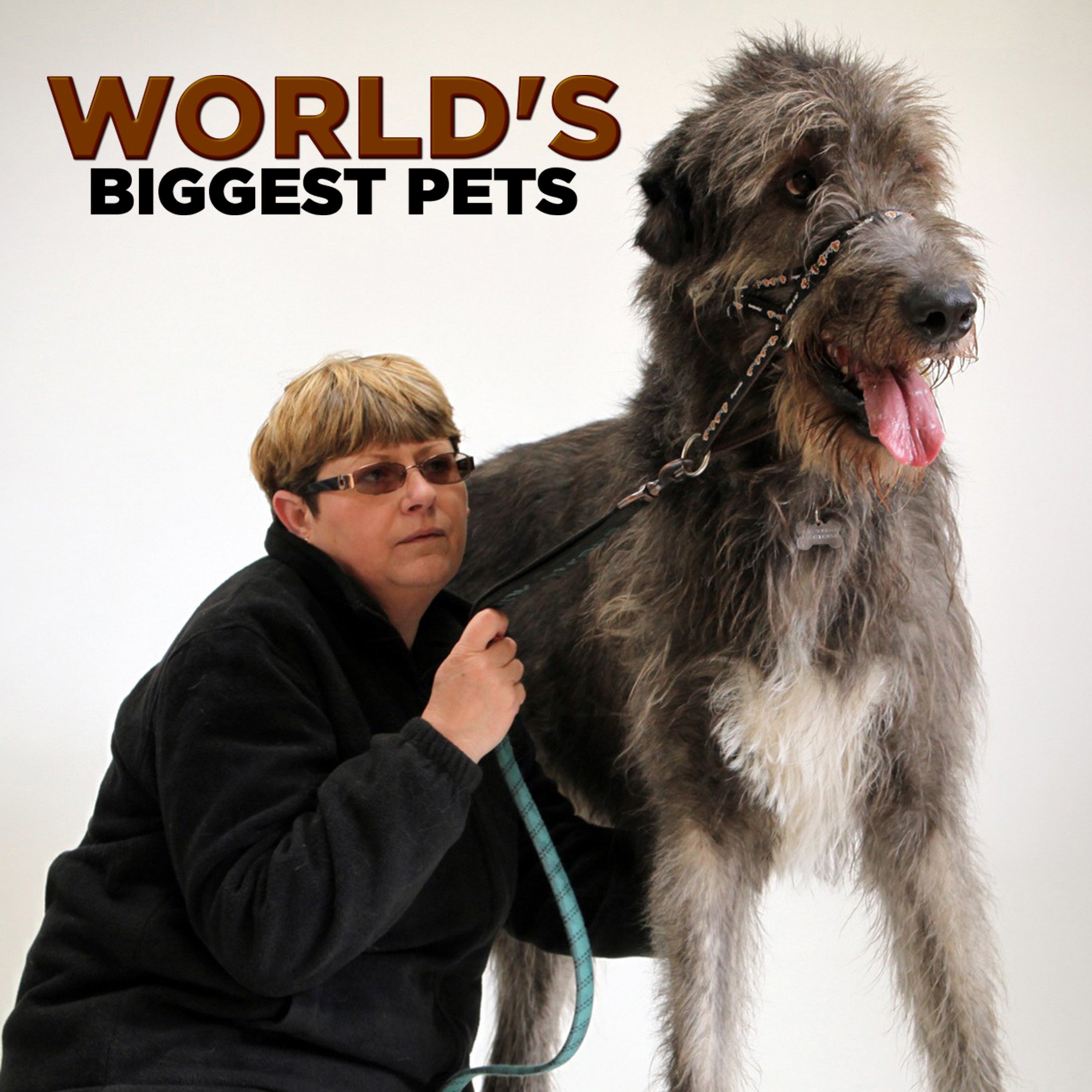 World's Biggest Pets