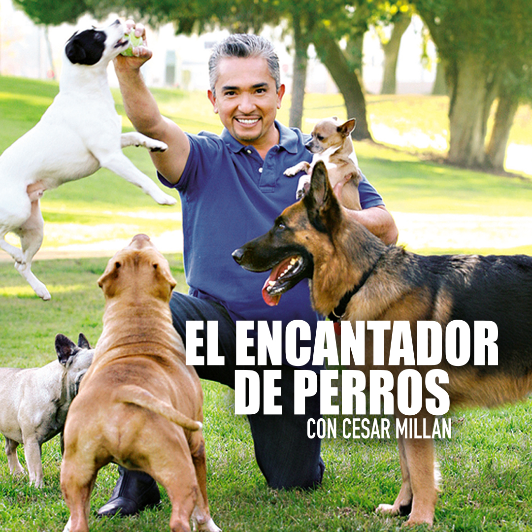 El encantador de perros