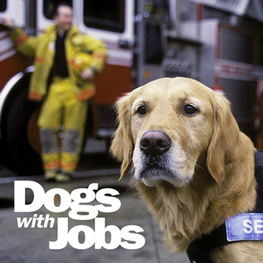 Dogs with Jobs