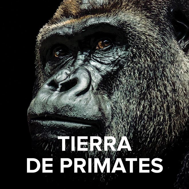 Terra dos Primatas