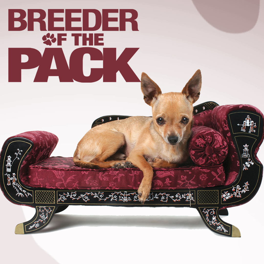Breeder of the Pack