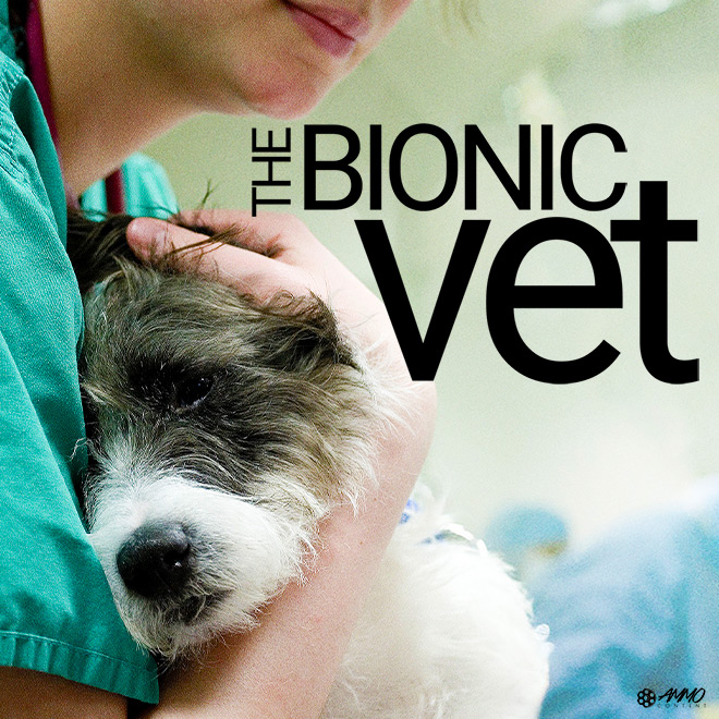 Bionic Vet
