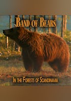 Band of Bears - In the Forests of Scandinavia