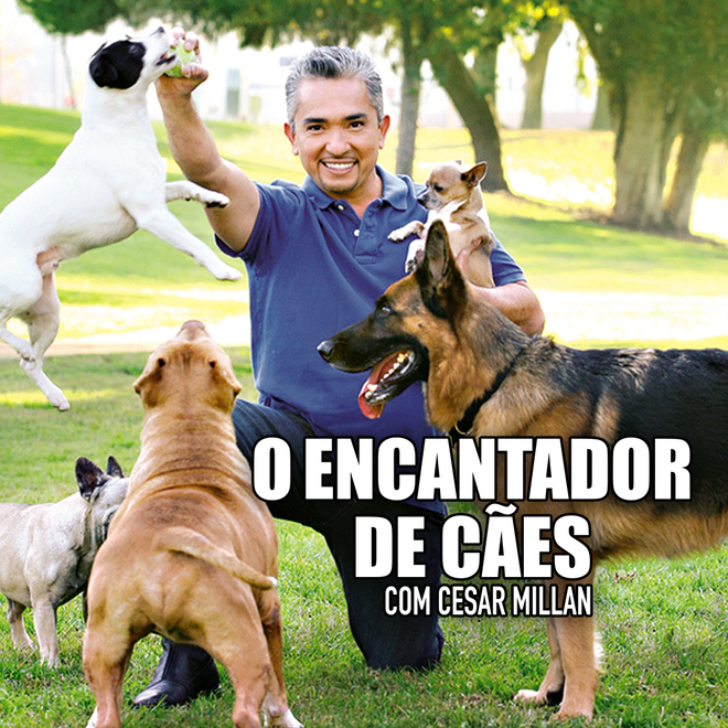 O Encantador de Cães