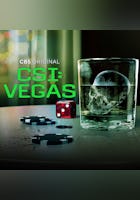 CSI: Vegas (CBS Rolling 4)