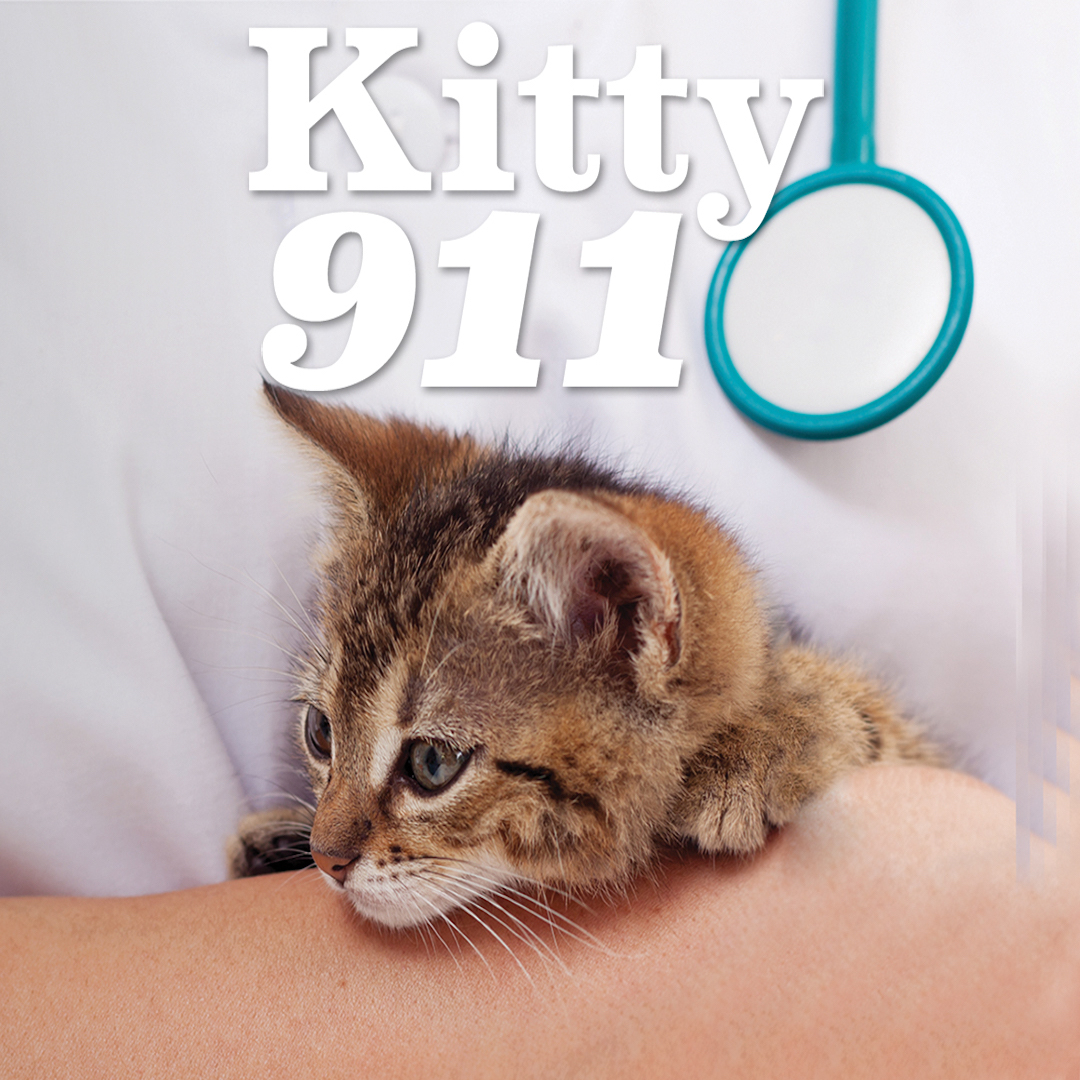Kitty 911 (Blue Ant International)