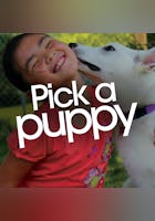 Pick A Puppy