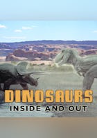 Dinosaurs Inside And Out