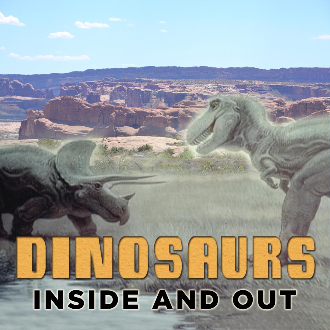 Dinosaurs Inside And Out