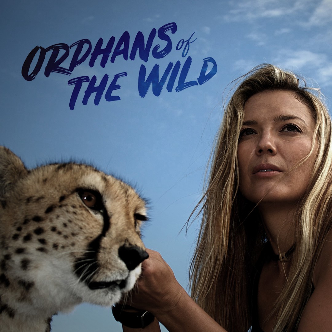 Órfãos da Vida Selvagem