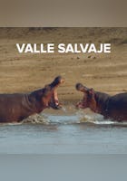 Valle Salvaje