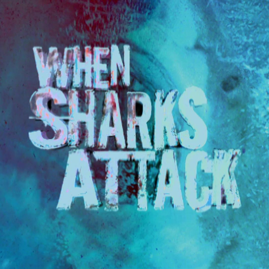 When Sharks Attack