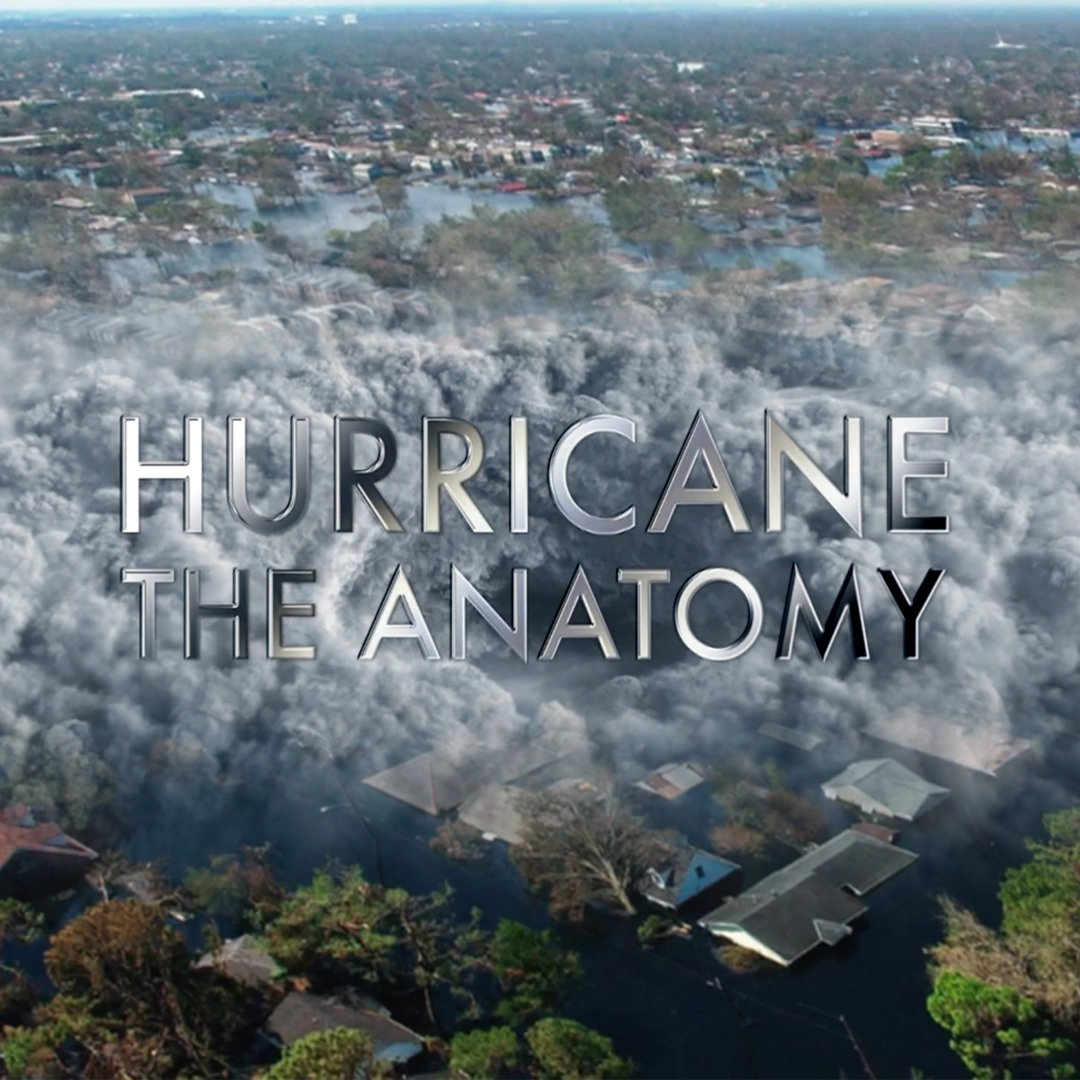 Hurricane: The Anatomy