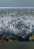 Hurricane: The Anatomy