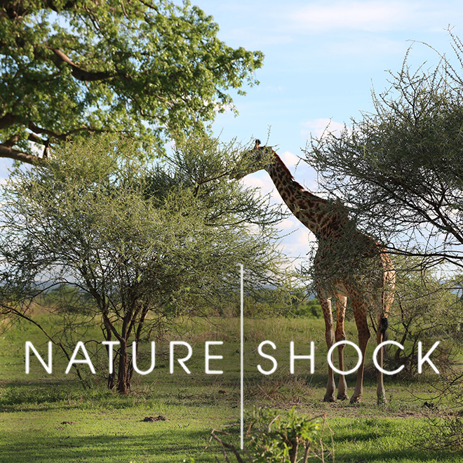Nature Shock