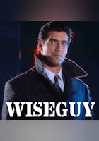 Wiseguy (extra episodes)