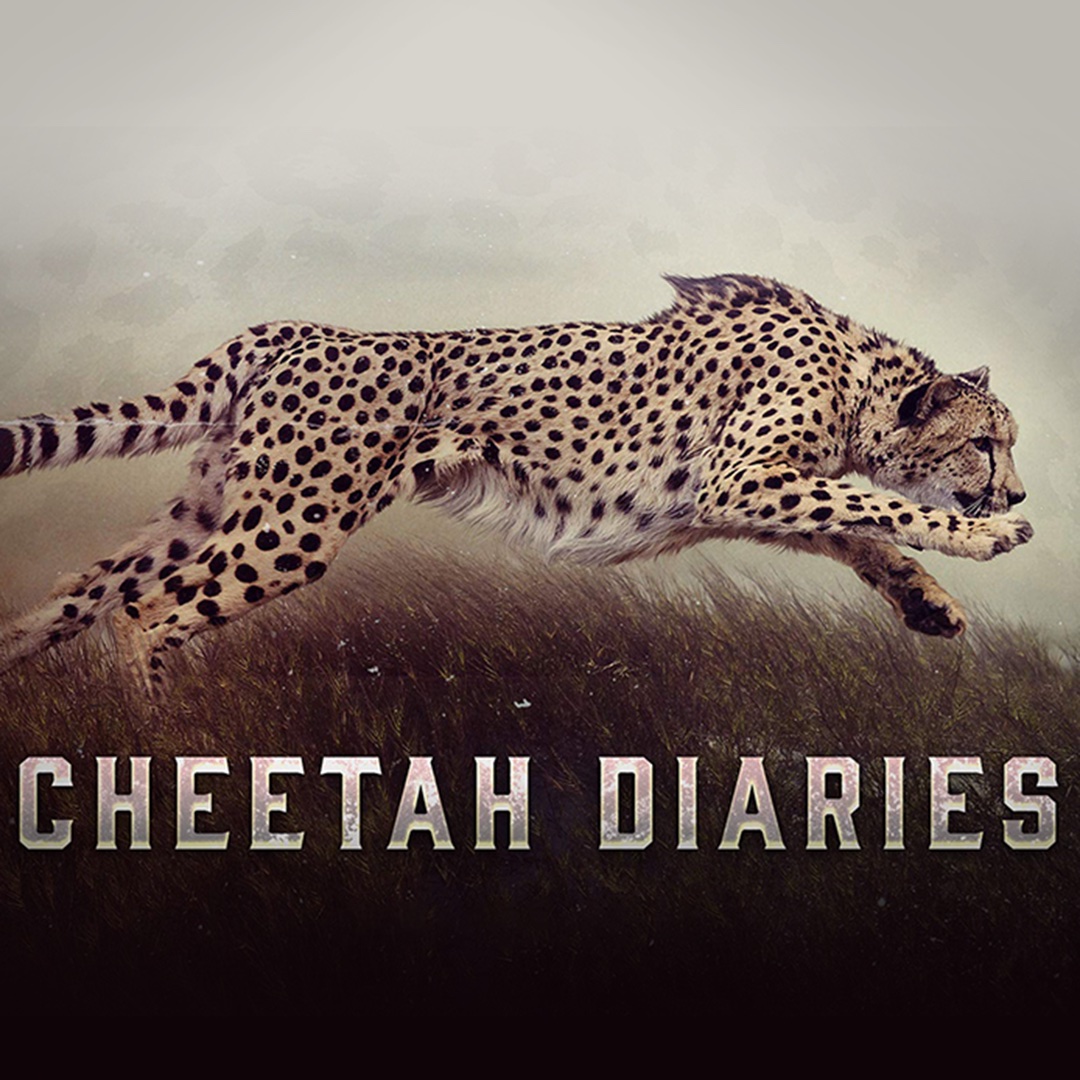 The Cheetah Diaries