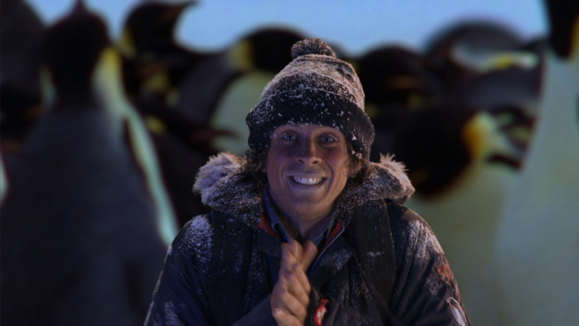 Watch Andy's Wild Adventures Season 1 Free | Pluto TV