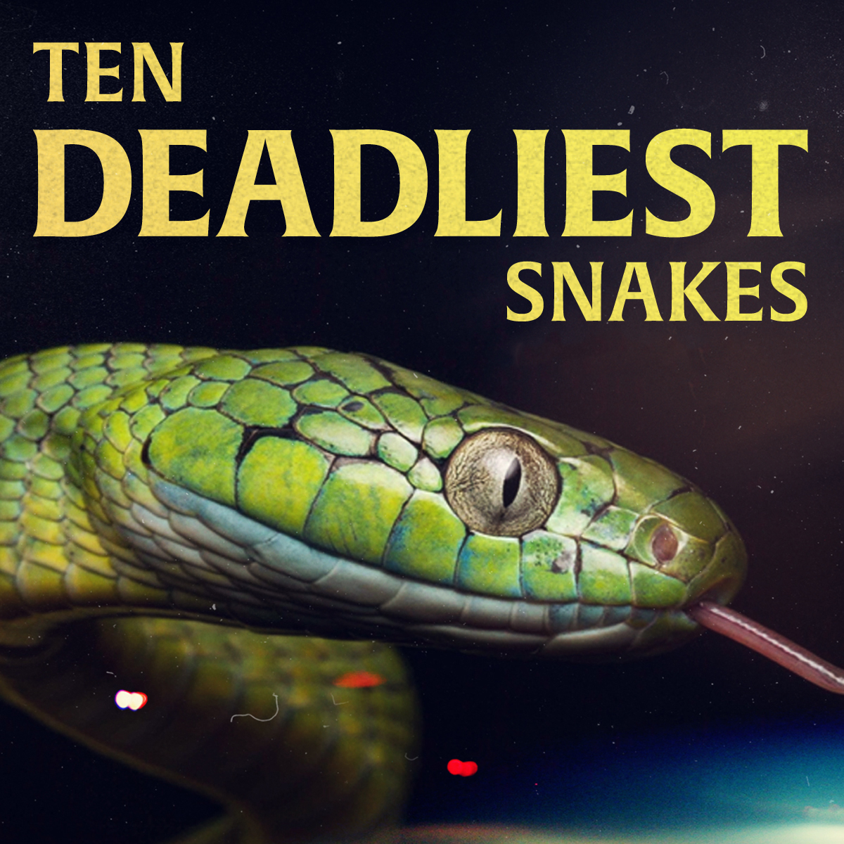 Ten Deadliest Snakes with Nigel Marven