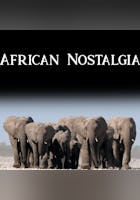 Nostálgia africana