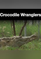 Crocodile Wranglers