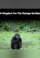 Un reino para los gorilas Dzanga
