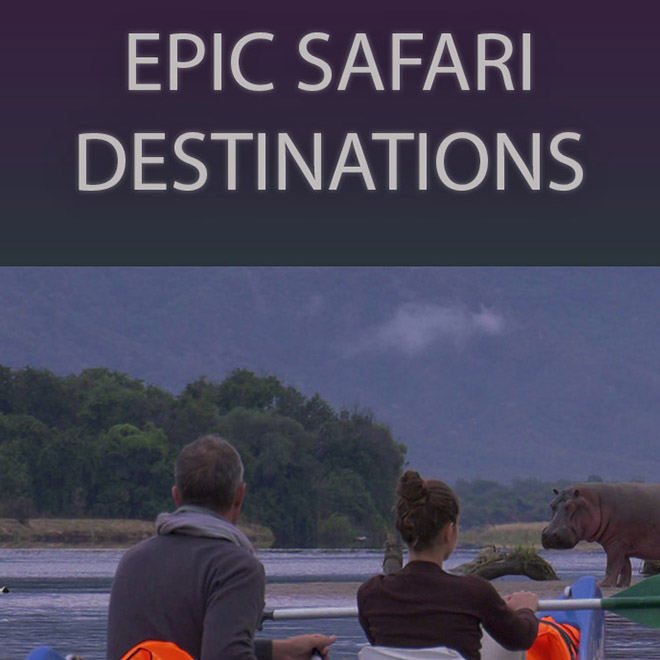 Epic Safari Destinations