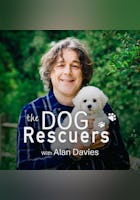 The Dog Rescuers With Alan Davies