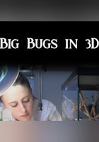 Big Bugs In 3D