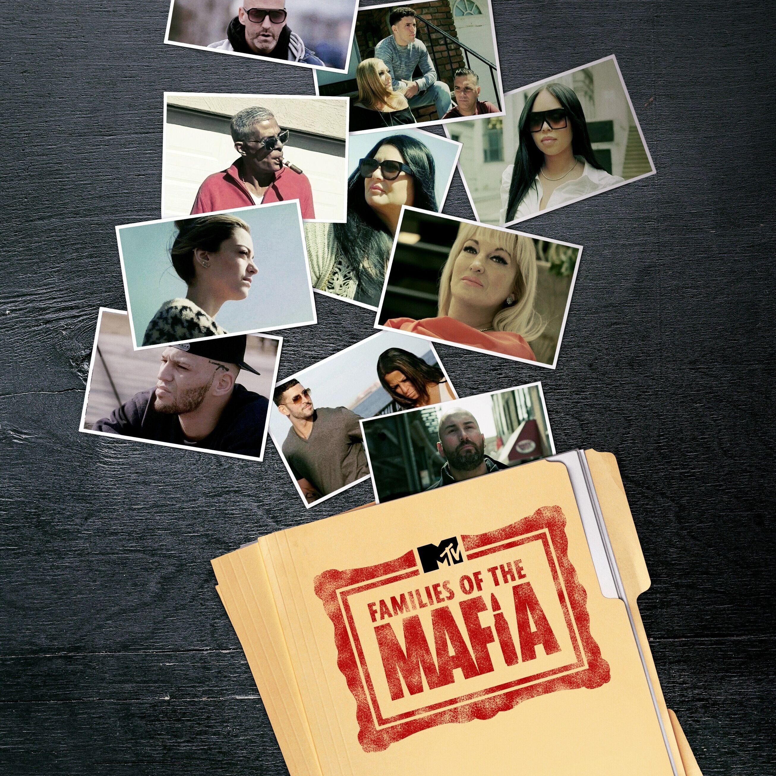 Families of the Mafia