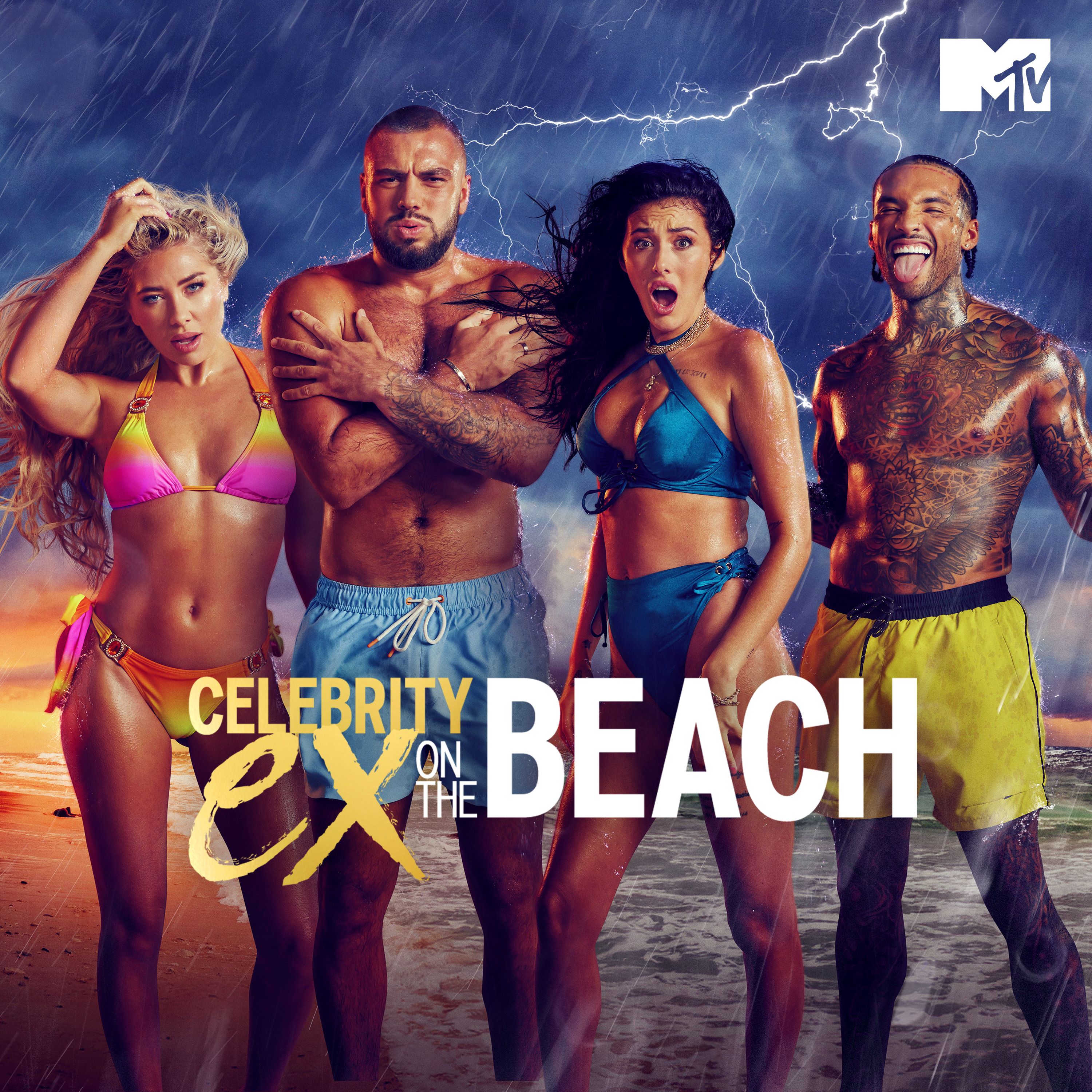 Celebrity Ex on the Beach