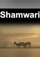 Shamwari: vida salvaje